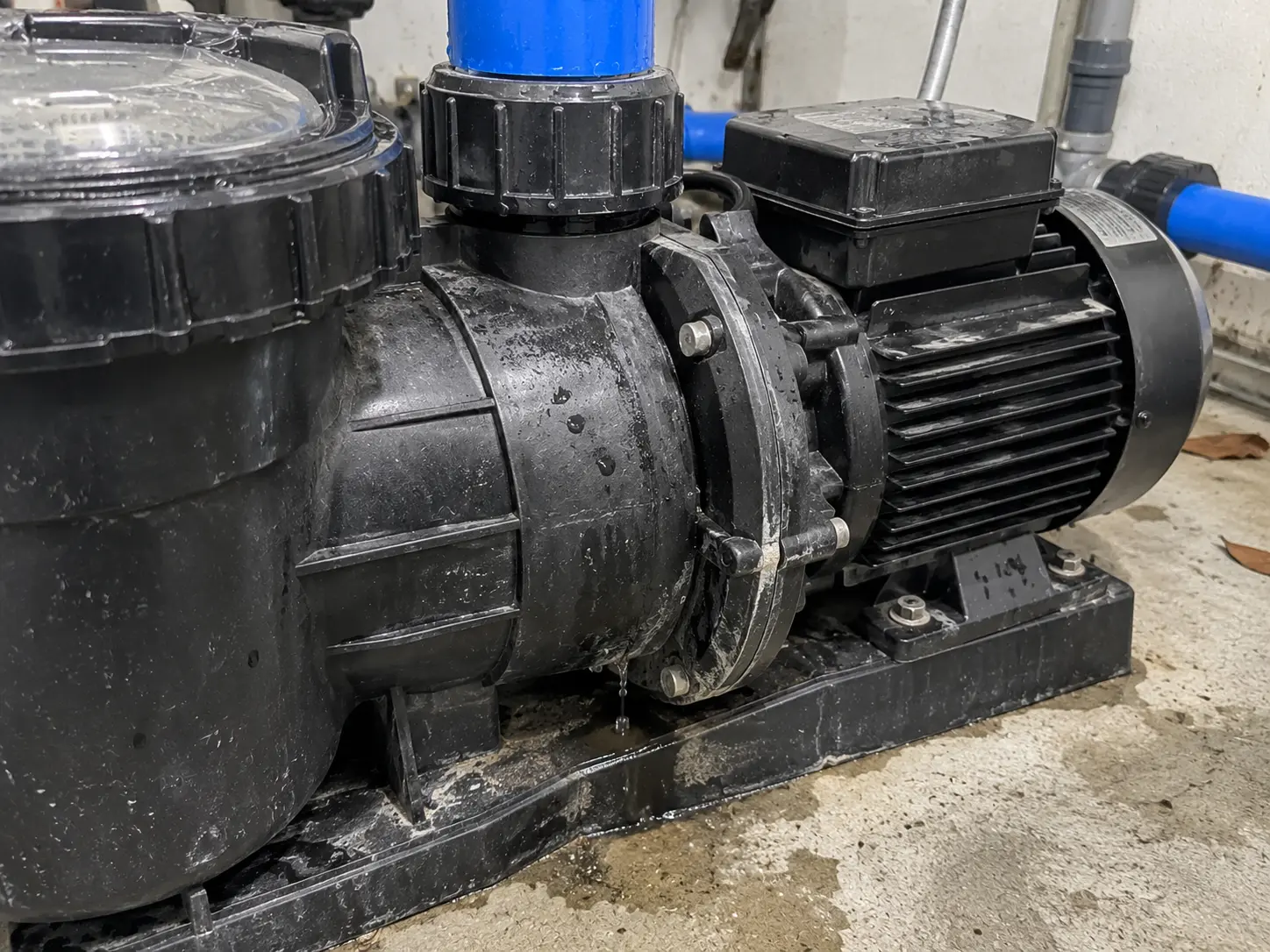 Water dripping from the seal of a pool pump in a plant room