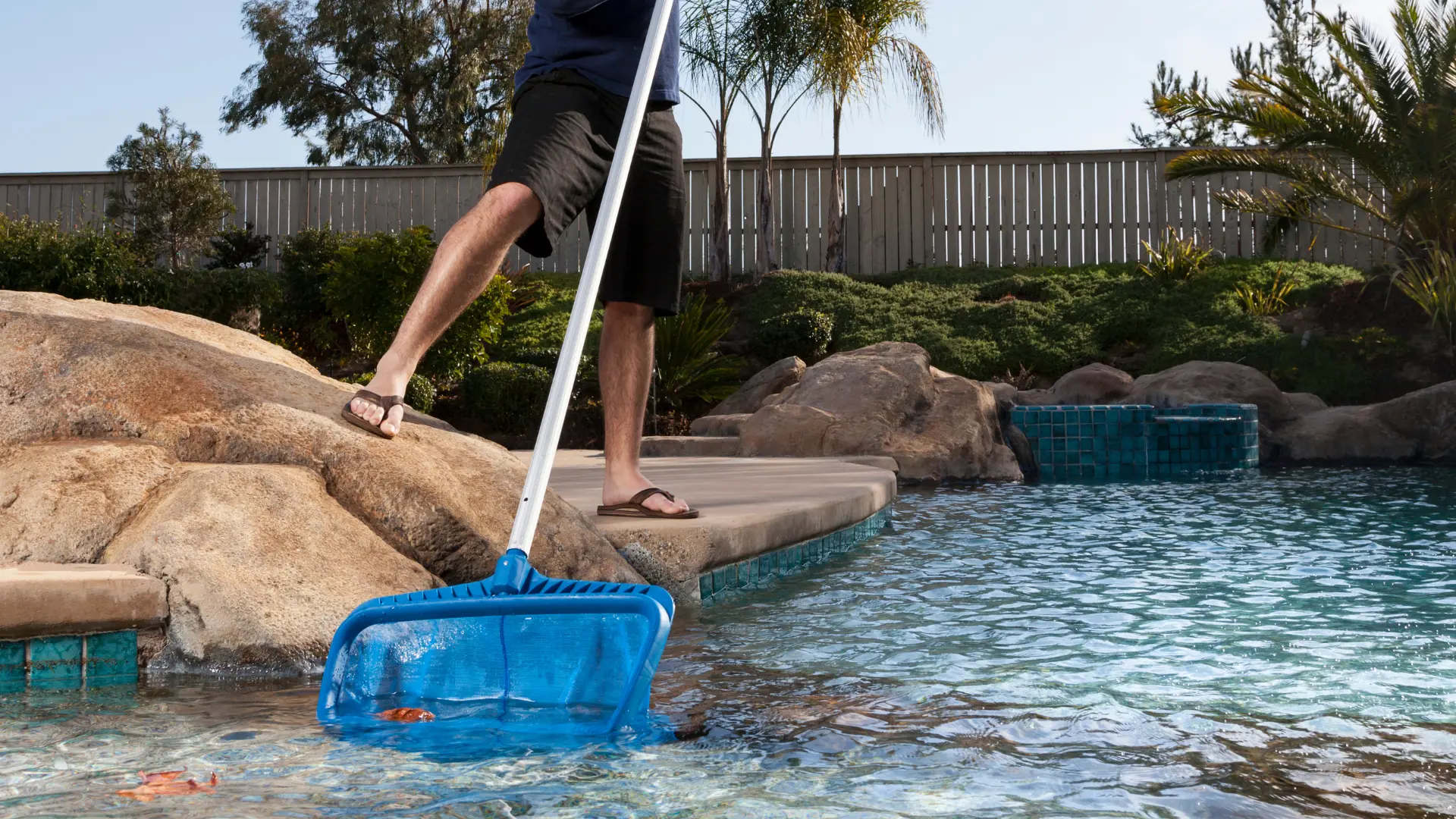 Swimming pool service technician maintaining the cleanliness of a pool - Pool Experts SG