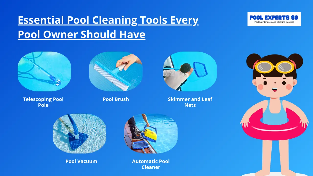 Must-have Pool Cleaning Tools - Pool Experts SG